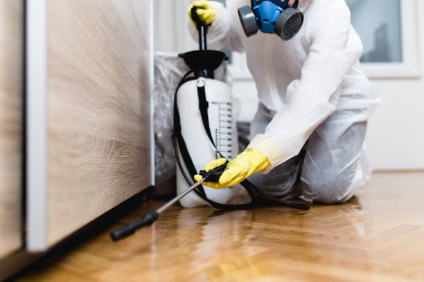 Best Pest Prevention Services  in Nora Springs, IA