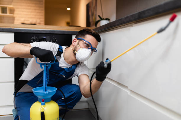 Best Exterminator Services  in Nora Springs, IA