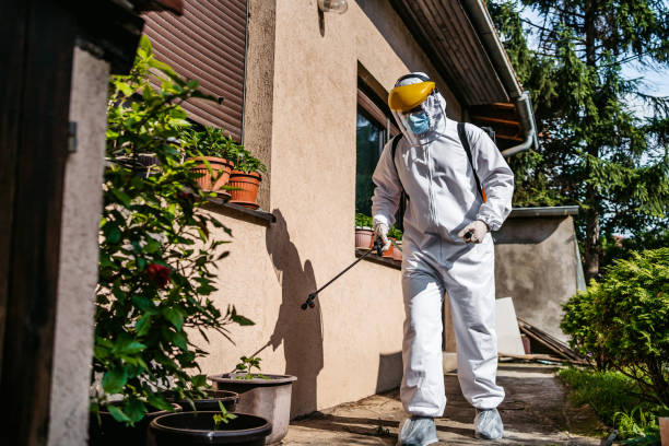 Best Bed Bug Extermination  in Nora Springs, IA