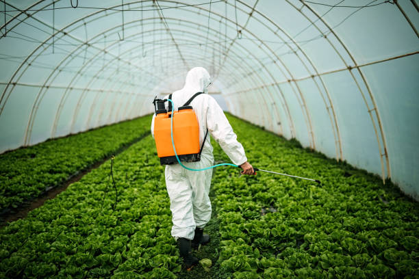 Best Pest Control Near Me in Nora Springs, IA