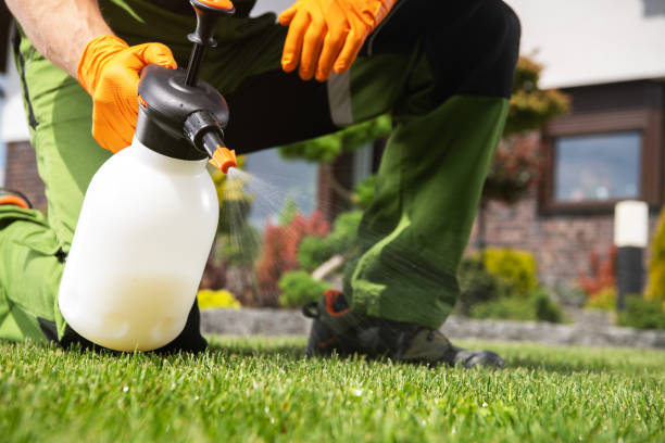 Best Flea Control Services  in Nora Springs, IA