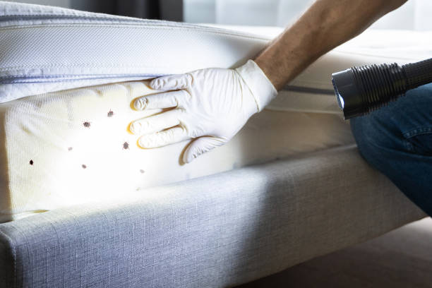 Best Pest Control Near Me  in Nora Springs, IA