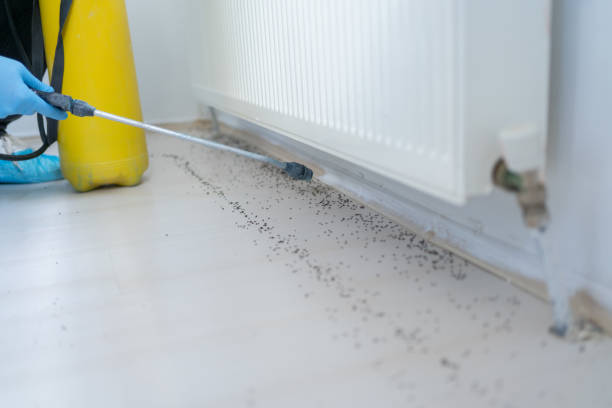Professional Pest Control in Nora Springs, IA
