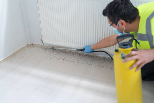 Best Commercial Pest Control Services  in Nora Springs, IA