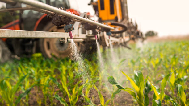 Best Pest Control for Businesses  in Nora Springs, IA
