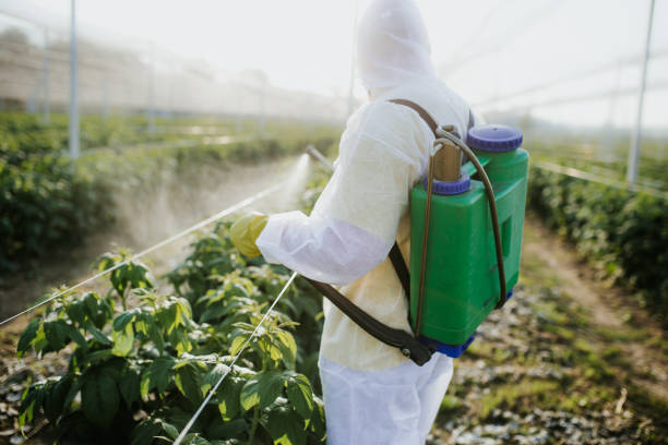 Best Pest Inspection Near Me  in Nora Springs, IA